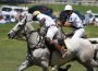 Fast-paced polo action.