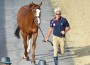 Rich Fellers and Flexible make a dashing duo at the veterinary jog.