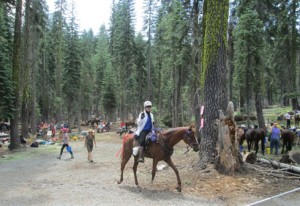 A horse leaves Robinson Flat at the 2012 Tevis Cup Ride.