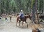 A horse leaves Robinson Flat at the 2012 Tevis Cup Ride.