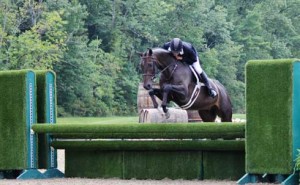 John French rides the horse Winner on course.