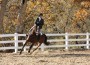 Hunter rider in the arena at Malibu Creek Equestrian Center.