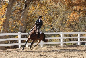 Hunter rider in the arena at Malibu Creek Equestrian Center.