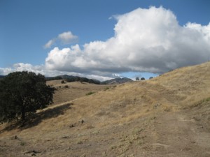 Rockville Trails, Solano County