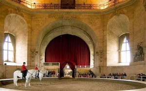 Interior of the Grand Stables during a live riding demonstration.