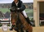 Nicola Philippaerts and Cortez on course at the Alltech National Horse Show.