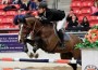 Karl Cook and his stallion Jonkheer Z on course in Las Vegas.