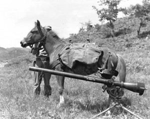 Sgt. Reckless carries a recoilless rifle.