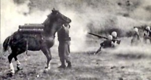 Sgt. Reckless on the Korean battlefield.