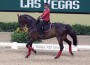 Debbie McDonald rides an exhibition in Spanish costume.