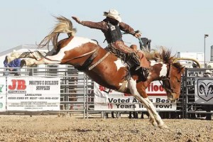 Saddle bronc champ Joaquin Real lets 'er rip on a Paint mount.