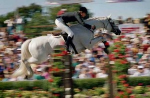 Joe Fargis rides the great grey Abdullah, captured by photographer Phyllis Pennington with an artful blur of the crowd.