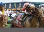 Jockey Joel Rosario raises his crop in victory as a mud-splattered Orb crosses the finish line at the Kentucky Derby.