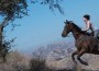 Sara Warner and Tower ride hills of Southern California under bright blue skies.