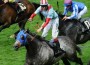 Grey horse Lethal Force crosses the finish line at Ascot.