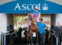 Athletes parade before spectators at the horsewalk at Ascot.