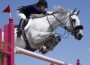 Rider and her snowy grey horse clear a bright crimson oxer.