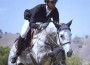 Eduardo Menezes soars over a jump on a grey mare.