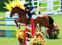 Cadett 7 blazes bright red in the sun on course at Spruce Meadows with rider Ashlee Bond.