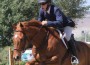 Duncan McIntosh jumping a hunter obstacle on his flaming red horse Rockland.