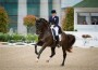 Tina Konyot and Calecto V perform their dressage test.