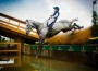 Tiana Coudray and Ringwood Magister hurtle down a water drop.