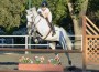 San Pascual rider on a grey horse.