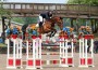 McLain Ward and Zander