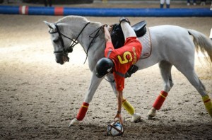 Spanish horseball player dangles from his saddle as he scoops up a ball from the ground.