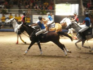 Women's horseball team in action at the 2013 European Championships.