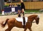 Alicen Divita does a handstand on her horse's back.