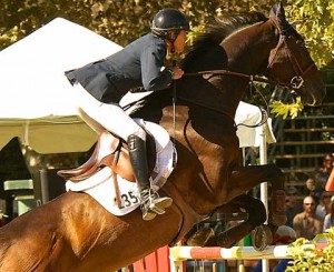 Jenni Martin-McAllister and Casseur de Prix soar over a jump.