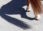 horse-posterior-in-shadow.jpg